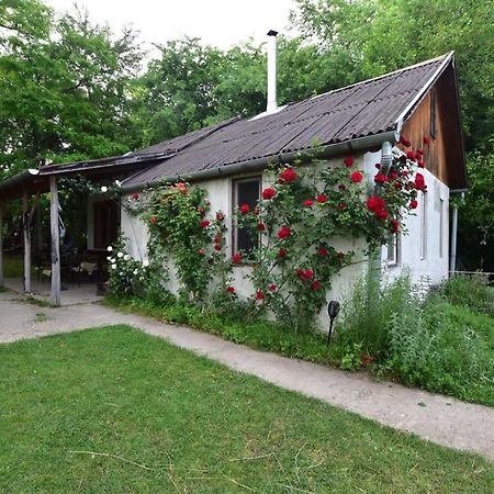 Вилла Igricz Farmhaz Pocsmegyer Экстерьер фото