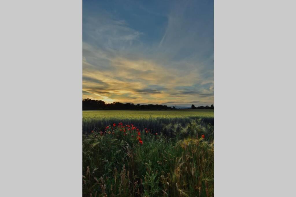 Вилла Igricz Farmhaz Pocsmegyer Экстерьер фото